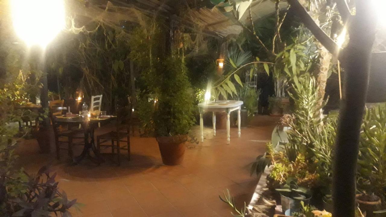 Agriturismo Terre Di Mare Bordighera 발레크로시아 외부 사진