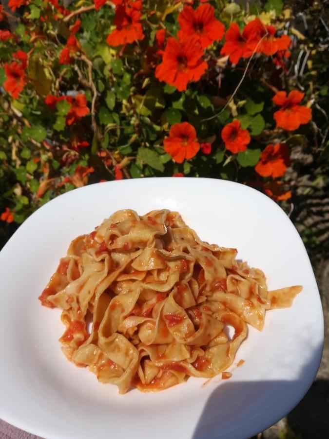Agriturismo Terre Di Mare Bordighera 발레크로시아 외부 사진