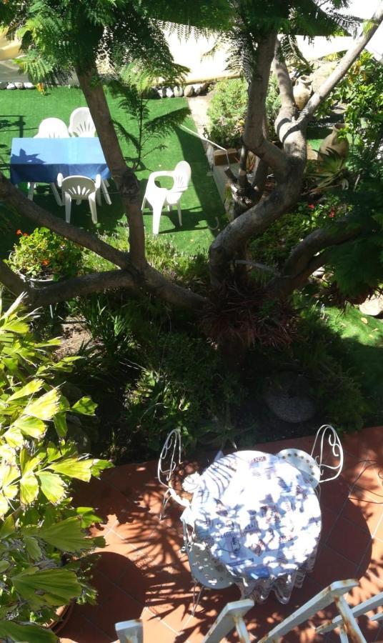 Agriturismo Terre Di Mare Bordighera 발레크로시아 외부 사진