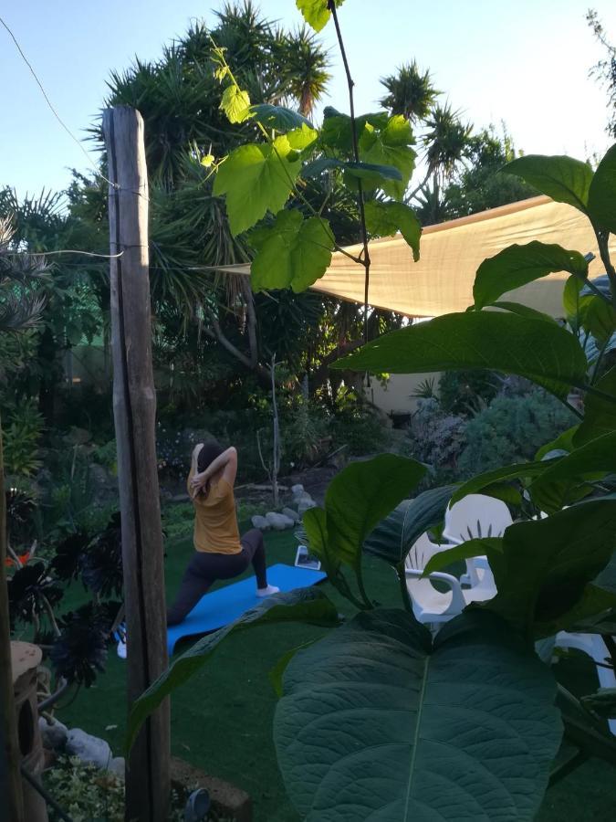 Agriturismo Terre Di Mare Bordighera 발레크로시아 외부 사진